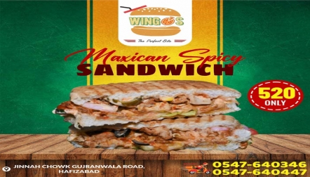 Maxican Spicy Sandwich at Wingos